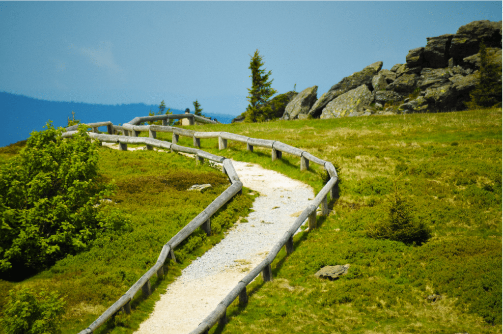 Bridging Finance