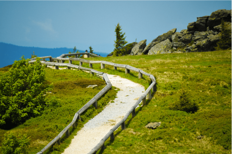 Bridging Finance